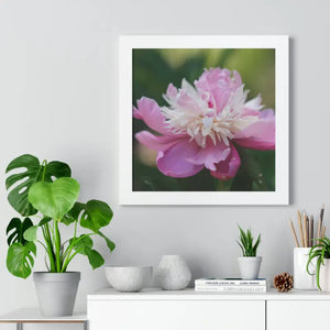 Framed Horizontal Poster Pink Peonies Modern Elegant Art Dipaliz - Posters Prints & Visual Artwork
