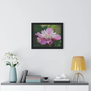 Framed Horizontal Poster Pink Peonies Modern Elegant Art Dipaliz - Posters Prints & Visual Artwork