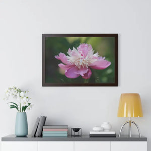 Framed Horizontal Poster Pink Peonies Modern Elegant Art Dipaliz - Posters Prints & Visual Artwork