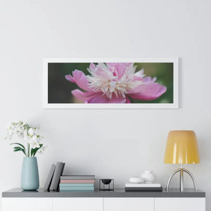 Framed Horizontal Poster Pink Peonies Modern Elegant Art Dipaliz - Posters Prints & Visual Artwork