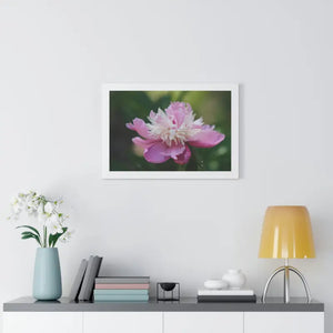 Framed Horizontal Poster Pink Peonies Modern Elegant Art Dipaliz - Posters Prints & Visual Artwork