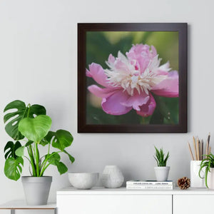 Framed Horizontal Poster Pink Peonies Modern Elegant Art Dipaliz - Posters Prints & Visual Artwork