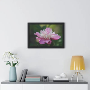 Framed Horizontal Poster Pink Peonies Modern Elegant Art Dipaliz - Posters Prints & Visual Artwork