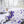 Purple Floral Wrapping Paper – Elegant Bloom - Dipaliz