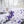 Purple Floral Wrapping Paper – Elegant Bloom - Dipaliz