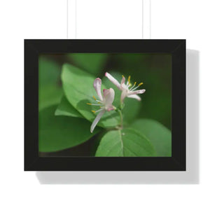 Framed Horizontal Poster White Flowers Modern Decor Art - Dipaliz - 14″ x 11″ / Black - Posters Prints & Visual Artwork