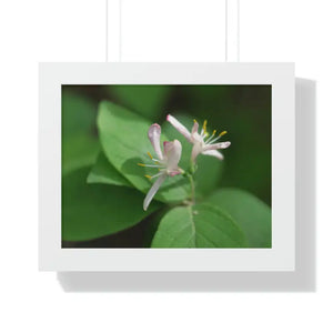 Framed Horizontal Poster White Flowers Modern Decor Art - Dipaliz - 14″ x 11″ / Posters Prints & Visual Artwork