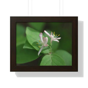 Framed Horizontal Poster White Flowers Modern Decor Art - Dipaliz - 14″ x 11″ / Walnut - Posters Prints & Visual Artwork