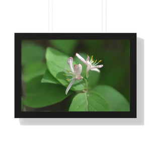 Framed Horizontal Poster White Flowers Modern Decor Art - Dipaliz - 24″ x 16″ / Black - Posters Prints & Visual Artwork
