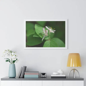 Framed Horizontal Poster White Flowers Modern Decor Art - Dipaliz - Posters Prints & Visual Artwork