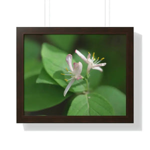 Framed Horizontal Poster White Flowers Modern Decor Art - Dipaliz - 20’’ x 16’’ / Walnut - Posters Prints & Visual