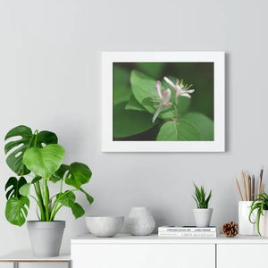 Framed Horizontal Poster White Flowers Modern Decor Art - Dipaliz - Posters Prints & Visual Artwork