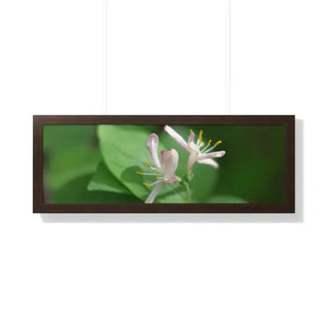 Framed Horizontal Poster White Flowers Modern Decor Art - Dipaliz - 36″ x 12″ / Walnut - Posters Prints & Visual Artwork
