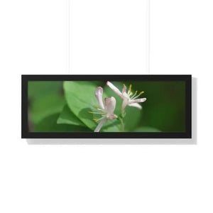 Framed Horizontal Poster White Flowers Modern Decor Art - Dipaliz - 36″ x 12″ / Black - Posters Prints & Visual Artwork