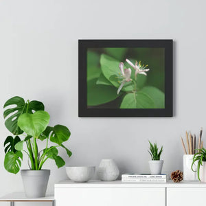 Framed Horizontal Poster White Flowers Modern Decor Art - Dipaliz - Posters Prints & Visual Artwork