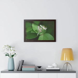 Framed Horizontal Poster White Flowers Modern Decor Art - Dipaliz - Posters Prints & Visual Artwork