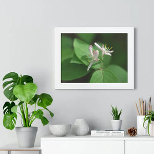Framed Horizontal Poster White Flowers Modern Decor Art - Dipaliz - Posters Prints & Visual Artwork