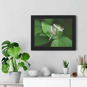Framed Horizontal Poster White Flowers Modern Decor Art - Dipaliz - Posters Prints & Visual Artwork