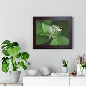 Framed Horizontal Poster White Flowers Modern Decor Art - Dipaliz - Posters Prints & Visual Artwork