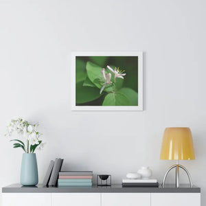 Framed Horizontal Poster White Flowers Modern Decor Art - Dipaliz - Posters Prints & Visual Artwork