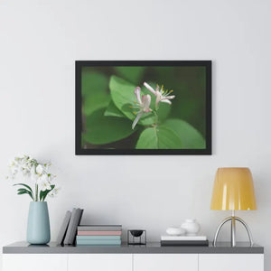 Framed Horizontal Poster White Flowers Modern Decor Art - Dipaliz - Posters Prints & Visual Artwork