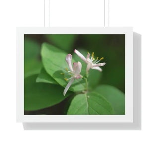 Framed Horizontal Poster White Flowers Modern Decor Art - Dipaliz - 20’’ x 16’’ / Posters Prints & Visual Artwork