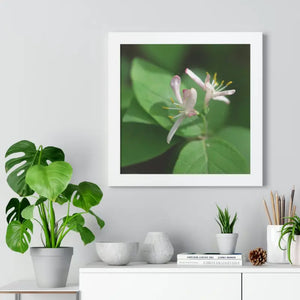 Framed Horizontal Poster White Flowers Modern Decor Art - Dipaliz - Posters Prints & Visual Artwork