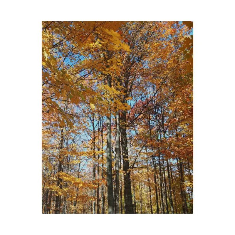 Transform your Space with Dipaliz Matte Canvas this Autumn - 11″ x 14″ (vertical) / 0.75’’