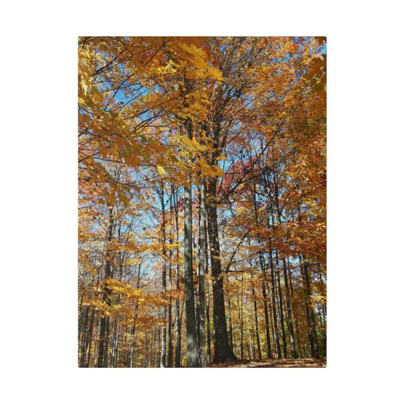 Transform your Space with Dipaliz Matte Canvas this Autumn - 12″ x 16″ (vertical) / 0.75’’