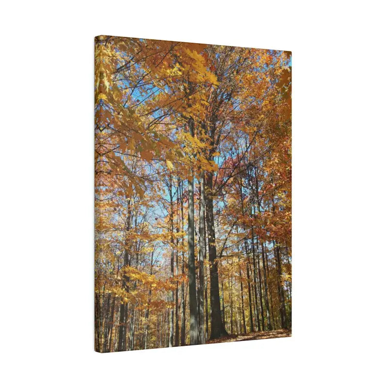 Upgrade your Fall Decor with Trendy Matte Canvas Art