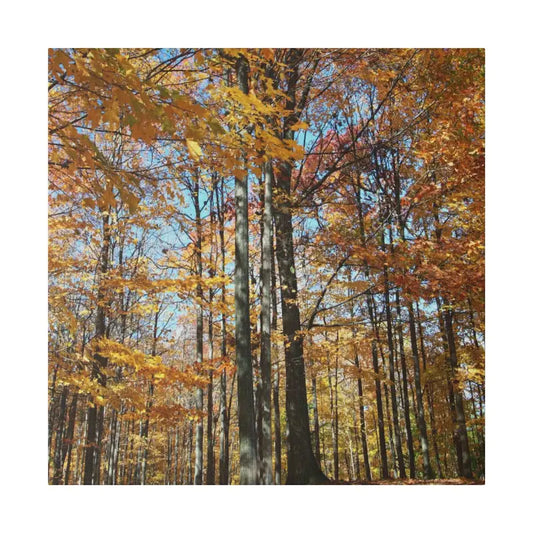 Upgrade your Fall Decor with Trendy Matte Canvas Art - 24″ x (square) / 0.75’’