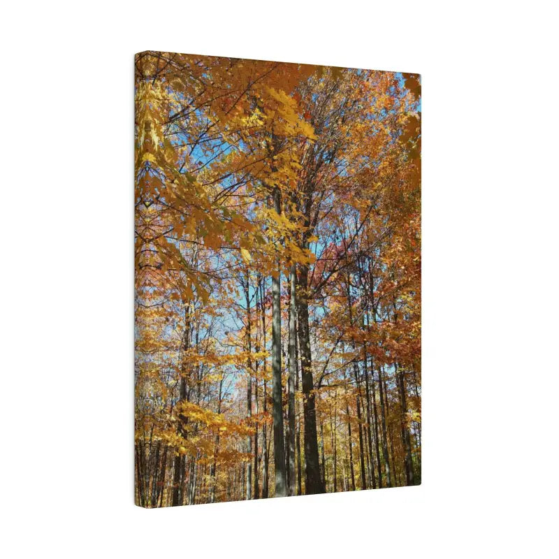 Upgrade your Fall Decor with Trendy Matte Canvas Art