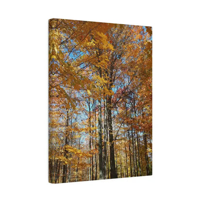 Upgrade your Fall Decor with Trendy Matte Canvas Art