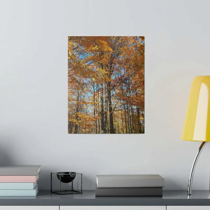 Upgrade your Fall Decor with Trendy Matte Canvas Art