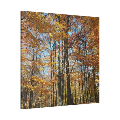 Upgrade your Fall Decor with Trendy Matte Canvas Art