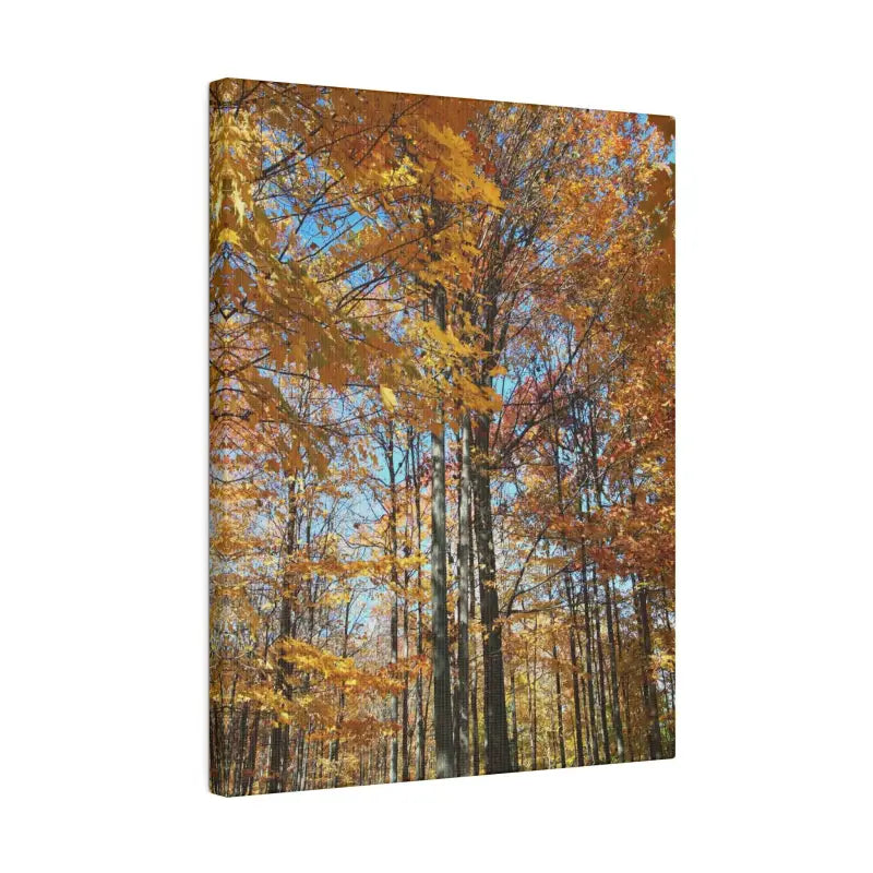 Upgrade your Fall Decor with Trendy Matte Canvas Art