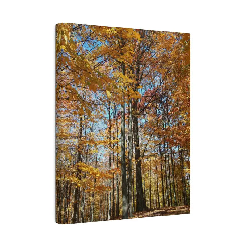 Upgrade your Fall Decor with Trendy Matte Canvas Art