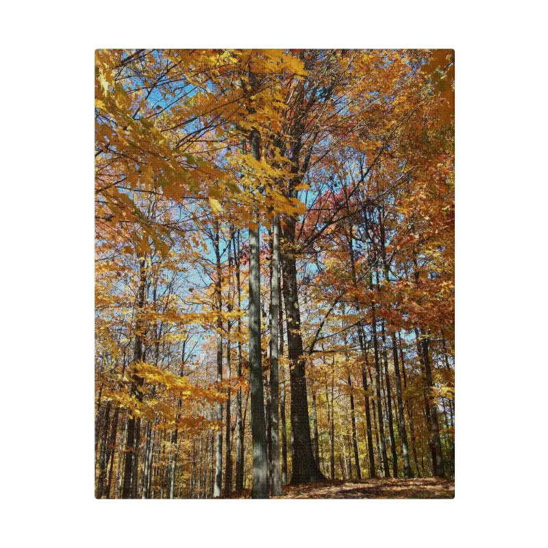 Transform your Space with Dipaliz Matte Canvas this Autumn - 8″ x 10″ (vertical) / 0.75’’