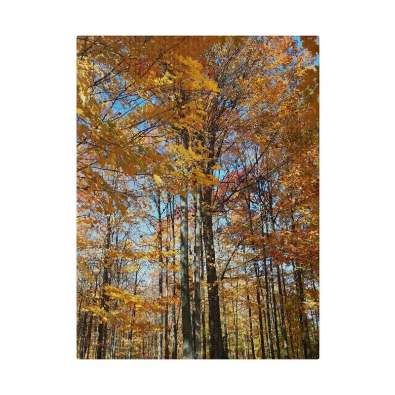 Transform your Space with Dipaliz Matte Canvas this Autumn - 9’’ x 12’’ (vertical) / 0.75’’