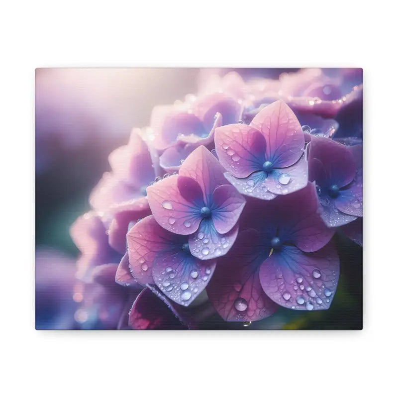 Elevate your Space with Hydrangea Canvas Gallery Wraps - 10″ x 8″ / 1.25’’