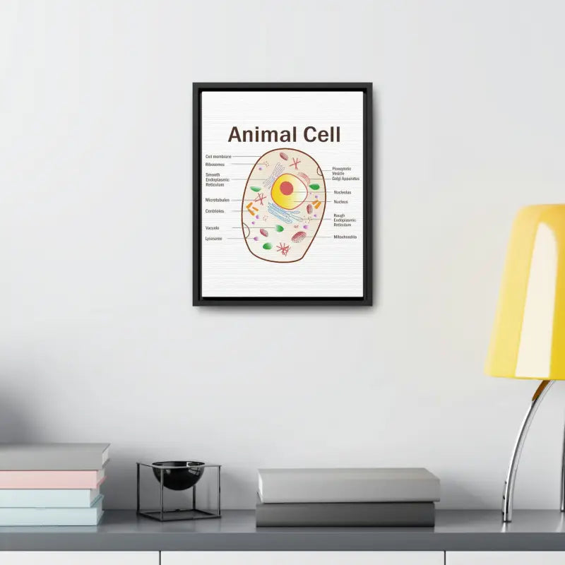 Elevate your Space: Animal Cell Diagram Gallery Canvas Wrap