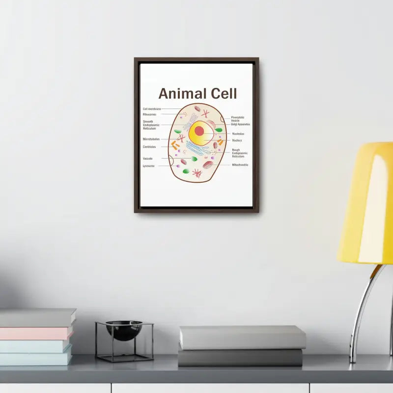 Elevate your Space: Animal Cell Diagram Gallery Canvas Wrap