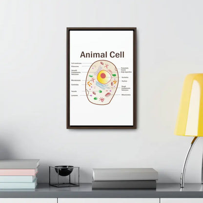 Elevate your Space: Animal Cell Diagram Gallery Canvas Wrap