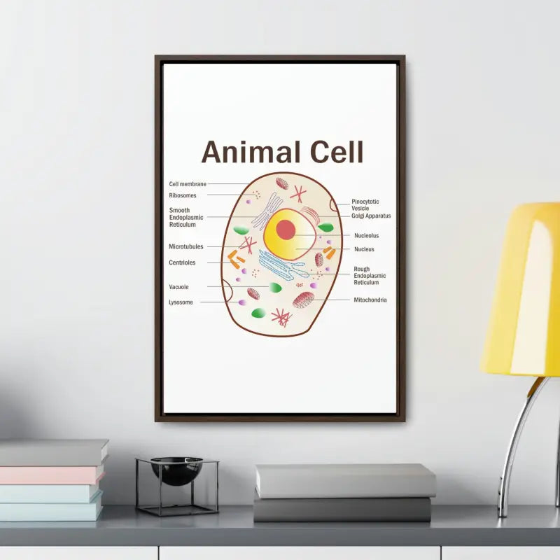 Elevate your Space: Animal Cell Diagram Gallery Canvas Wrap