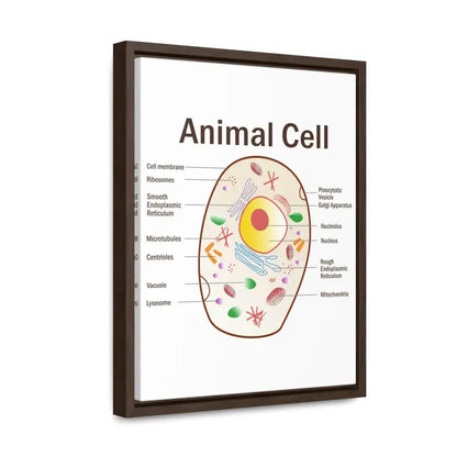 Elevate your Space: Animal Cell Diagram Gallery Canvas Wrap