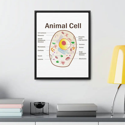 Elevate your Space: Animal Cell Diagram Gallery Canvas Wrap