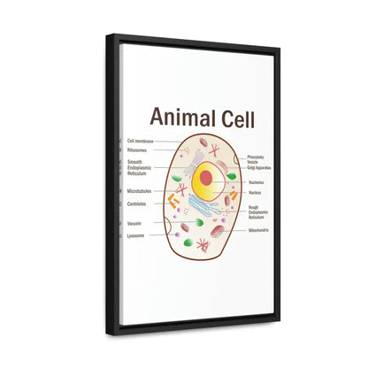 Elevate your Space: Animal Cell Diagram Gallery Canvas Wrap