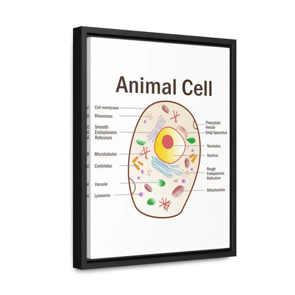 Elevate your Space: Animal Cell Diagram Gallery Canvas Wrap