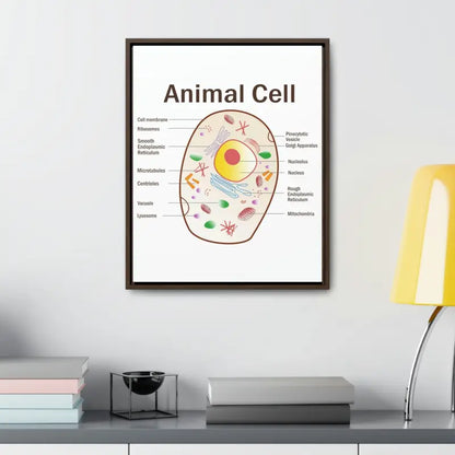 Elevate your Space: Animal Cell Diagram Gallery Canvas Wrap