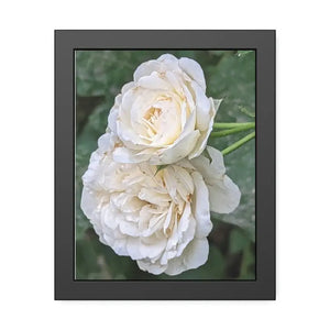 Framed Paper Posters White Roses Fine Art - Dipaliz - 11″ x 14″ (vertical) / Black Frame / Semi Glossy - Prints &